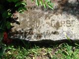 image of grave number 205856